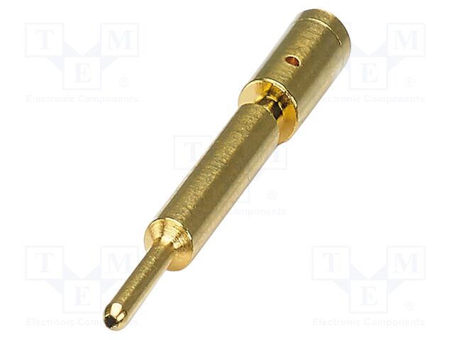 Contact; male; CuZn; gold-plated; crimped