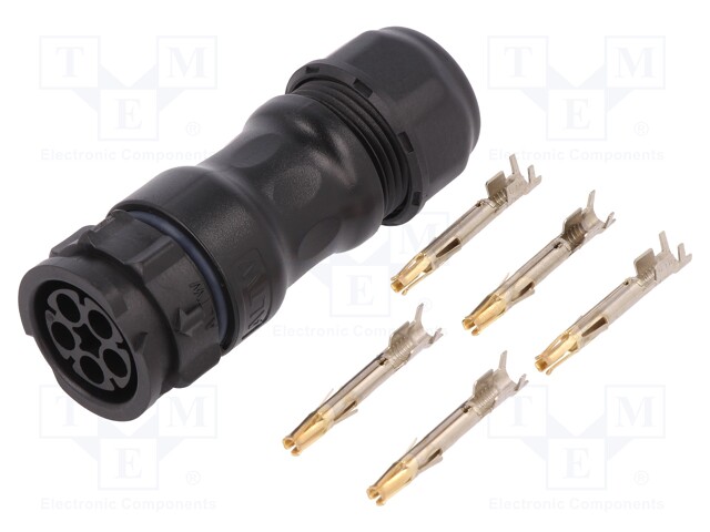 Connector: circular; female; plug; crimped; PIN: 5; 14AWG÷12AWG