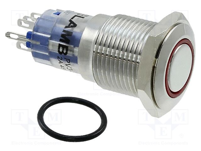 Switch: vandal resistant; Pos: 2; DPDT; 2A/48VDC; IP67; ON-(ON)
