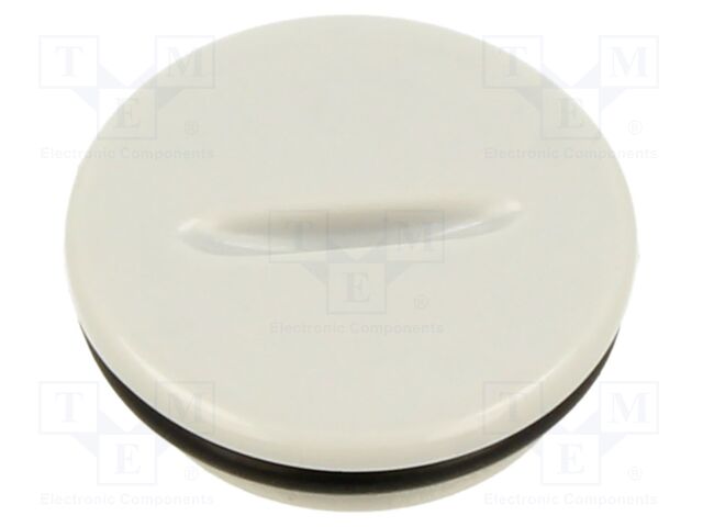 Stopper; PG11; Mat: polyamide; light grey; with seal