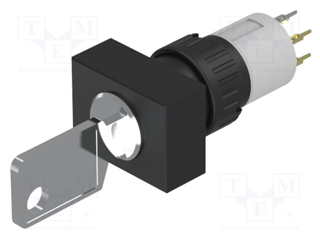 Switch: rotary with key; Stabl.pos: 2; NC + NO; Pos: 2; 51