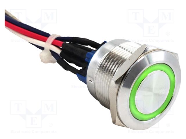 Switch: vandal resistant; SPST-NO + SPST-NC; 2A/48VDC; IP65; 24V
