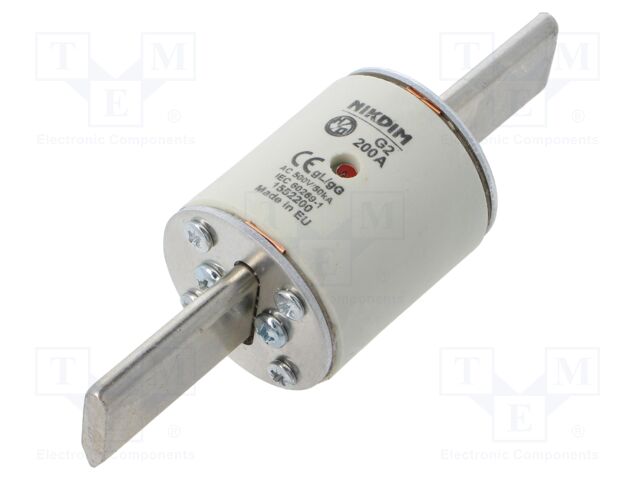Fuse: fuse; gG; 200A; 500VAC; industrial; NHg