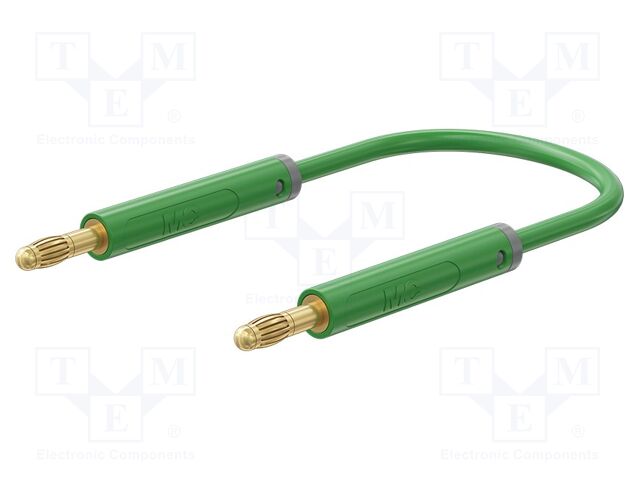 Test lead; 60VDC; 30VAC; 19A; banana plug 4mm,both sides; Len: 2m