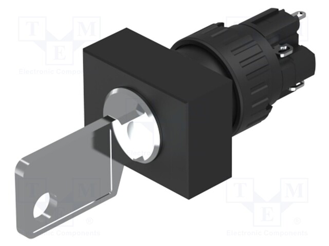 Switch: rotary with key; Stabl.pos: 2; NC + NO; Pos: 2; 51