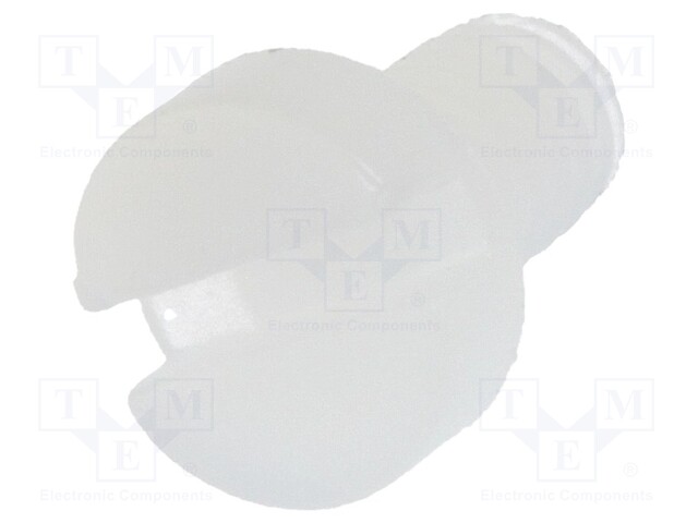 Screw; M2,5x4; DIN: 84; Head: cheese head; slotted; polyamide; 0,6mm