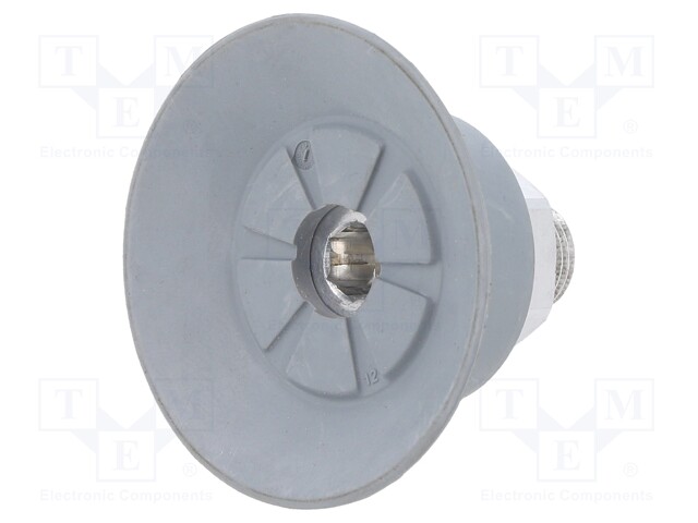 Suction cup; 50mm; 17.1g; G 1/8 M; Shore hardness: 55; 3.8cm3; SUF