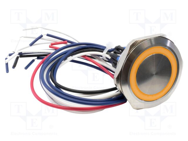 Switch: vandal resistant; DPST-NO + DPST-NC; 2A/48VDC; IP65; 6V