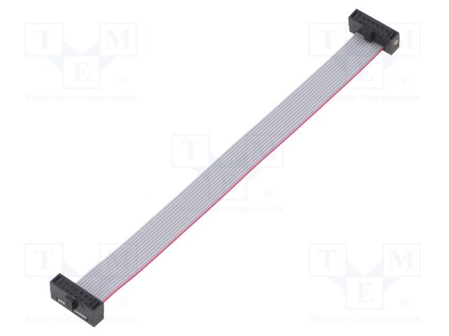 Ribbon cable with IDC connectors; Tape ph: 0.64mm; 101.6mm