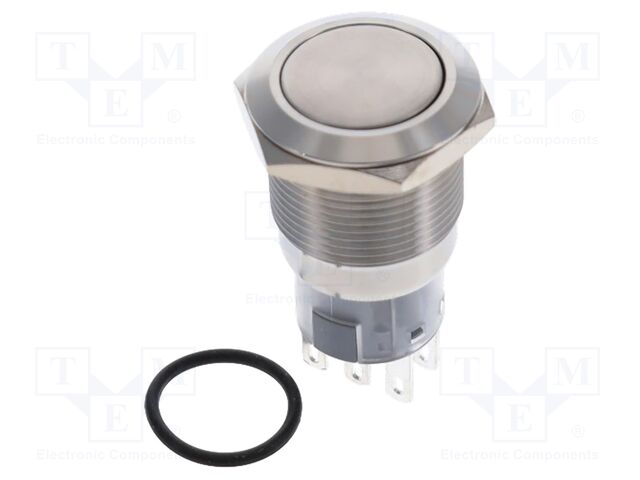 Switch: vandal resistant; DPDT; 2A/24VDC; IP67; ON-(ON); Ø19mm