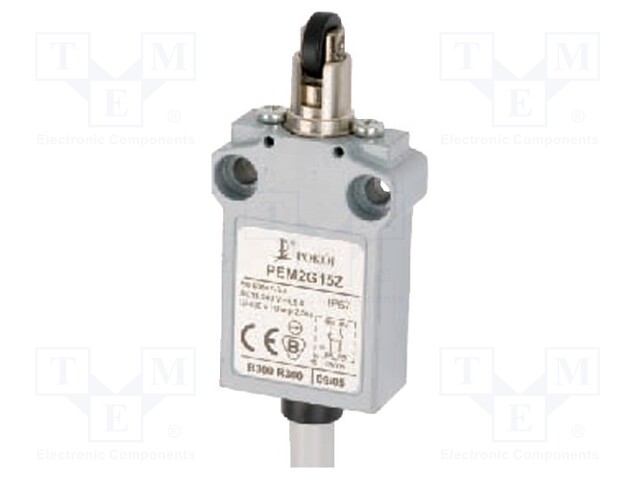 Limit switch; transversal plastic roller Ø12mm; NO + NC; 5A