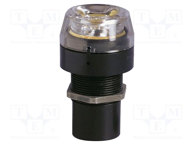 Motor: DC