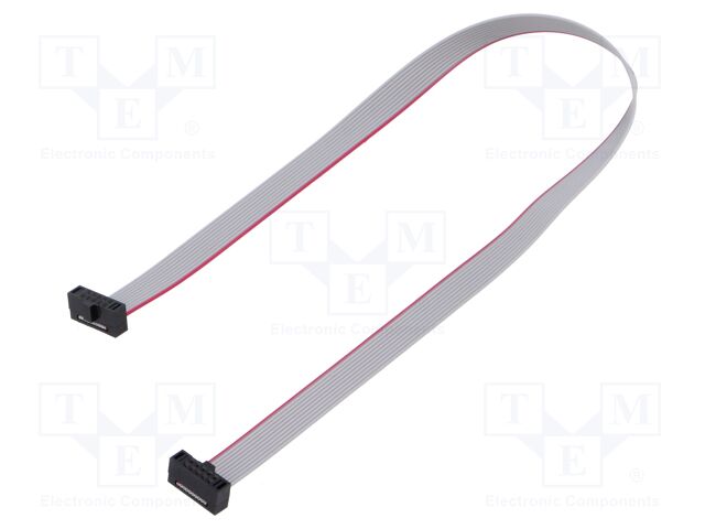 Ribbon cable with IDC connectors; Tape ph: 0.64mm; 254.25mm