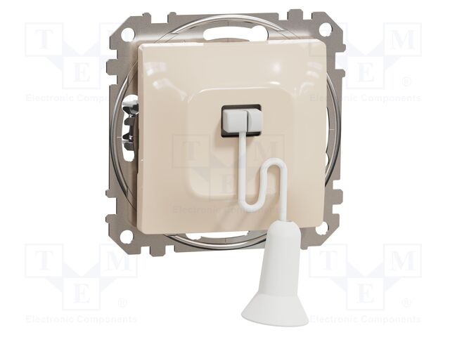 Pull-chain switch; 250VAC; IP20; beige; Button marking: blank