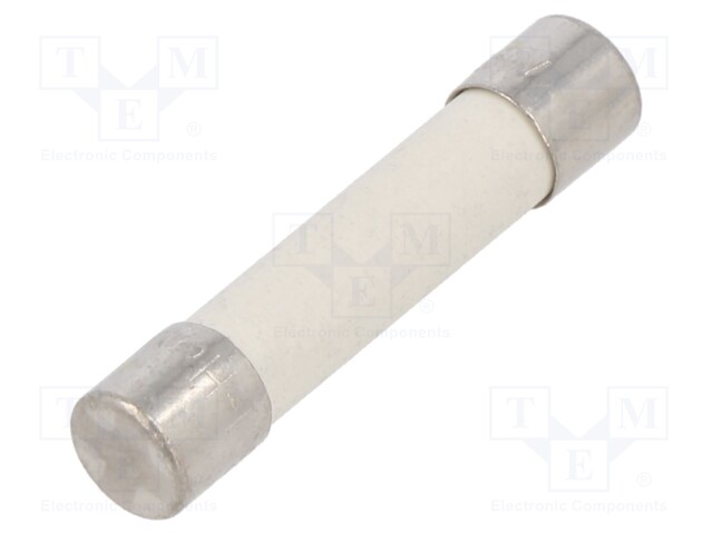 Fuse: fuse; time-lag; 40A; 250VAC; ceramic,cylindrical; SUT-H