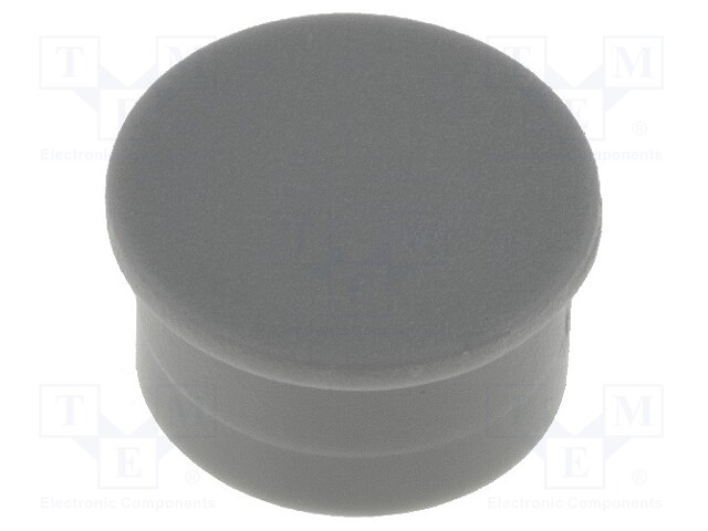Cap; thermoplastic; push-in; grey