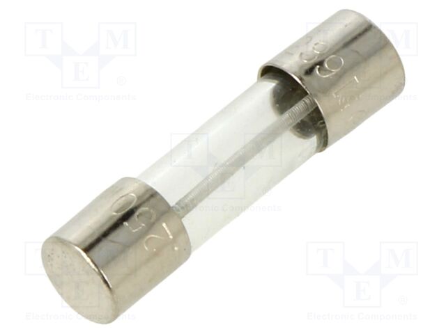 Fuse: fuse; 250mA; 250VAC; time-lag; glass; 5.2x20mm; holders; 239