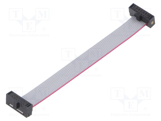 Ribbon cable with IDC connectors; Tape ph: 0.64mm; 76.2mm