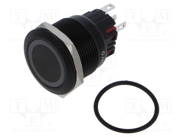 Switch: vandal resistant; Pos: 2; SPDT; 5A/250VAC; IP65; ON-(ON)