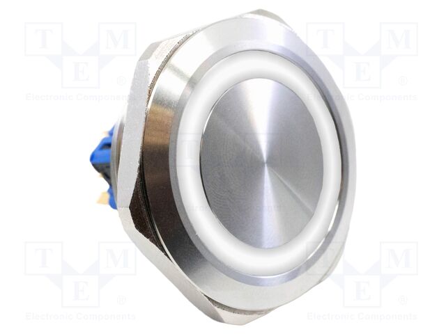 Switch: vandal resistant; DPST-NO + DPST-NC; 2A/48VDC; IP65; 6V