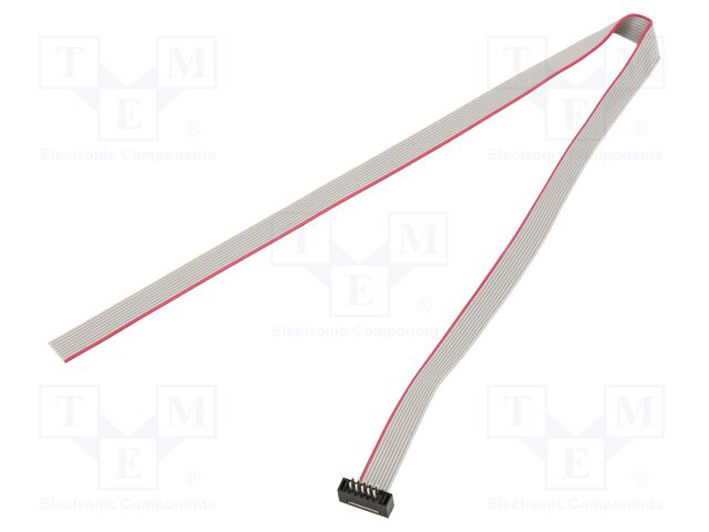 Ribbon cable with IDC connectors; IDC plug,cables; PIN: 10