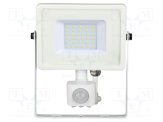Lamp: LED flood light; 30W; 230VAC; white cold; 100°; 6400K; 30000h