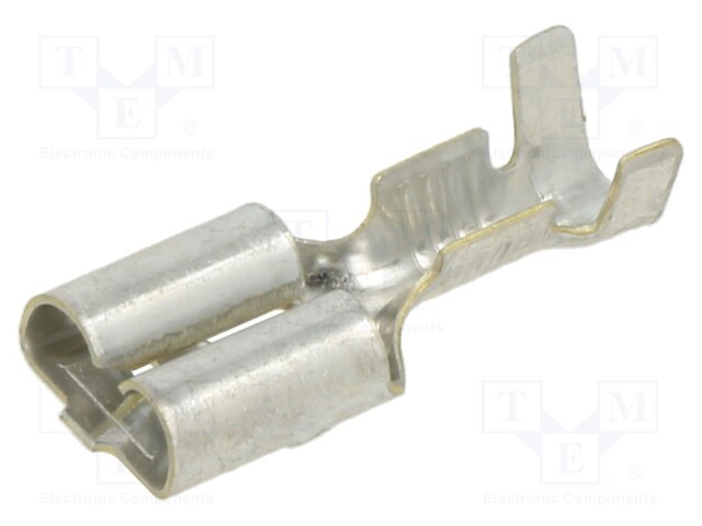 TERM. FASTON F630 C/DENTINO