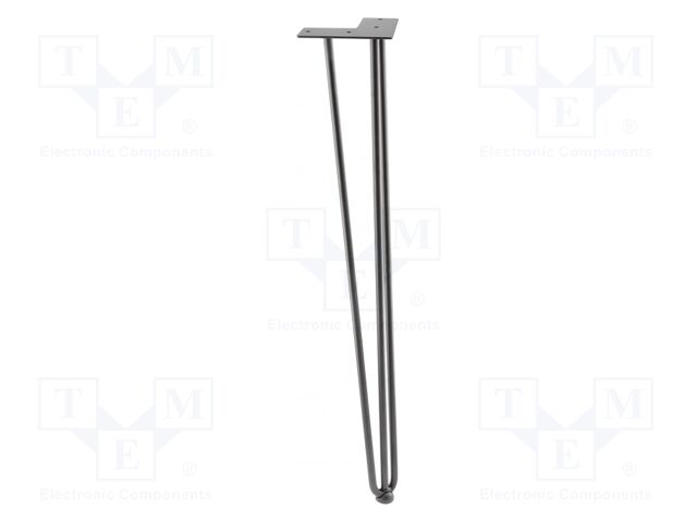 Foot