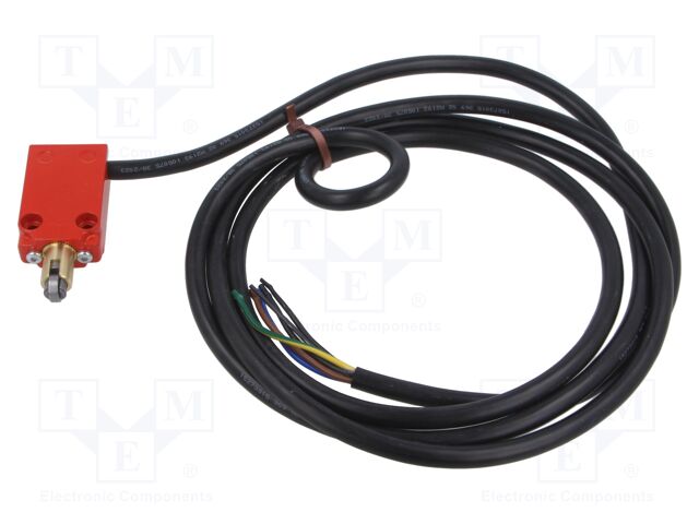 Limit switch; 10A; max.250VAC; lead 2m; IP66; No.of mount.holes: 2