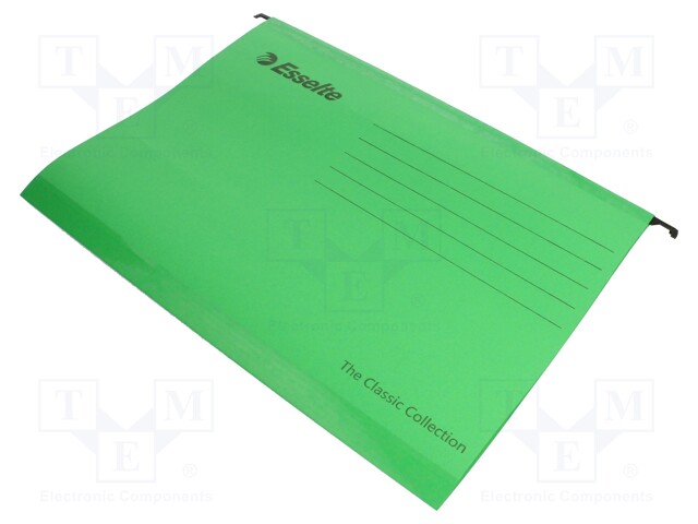 Hanging folder; green