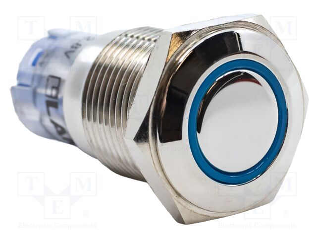 Switch: vandal resistant; Pos: 2; DPDT; 2A/48VDC; IP40; ON-(ON)