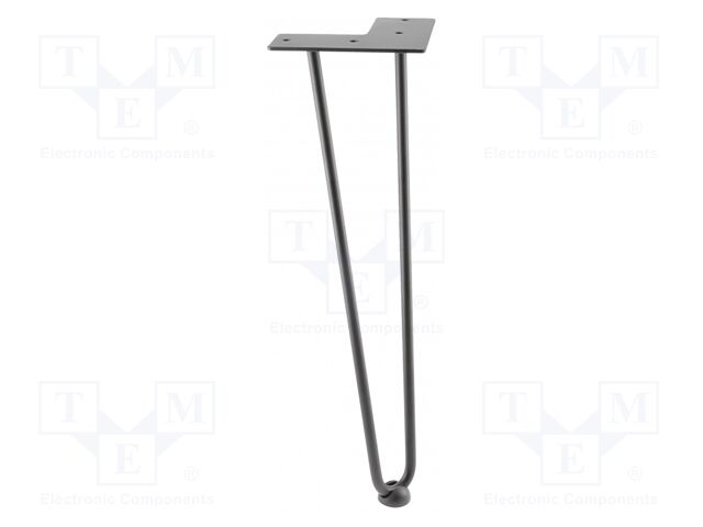 Foot