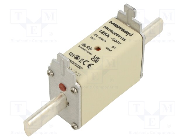 Fuse: fuse; gG; 125A; 500VAC; 250VDC; ceramic,industrial; NH1