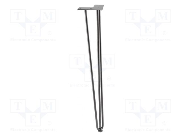 Foot