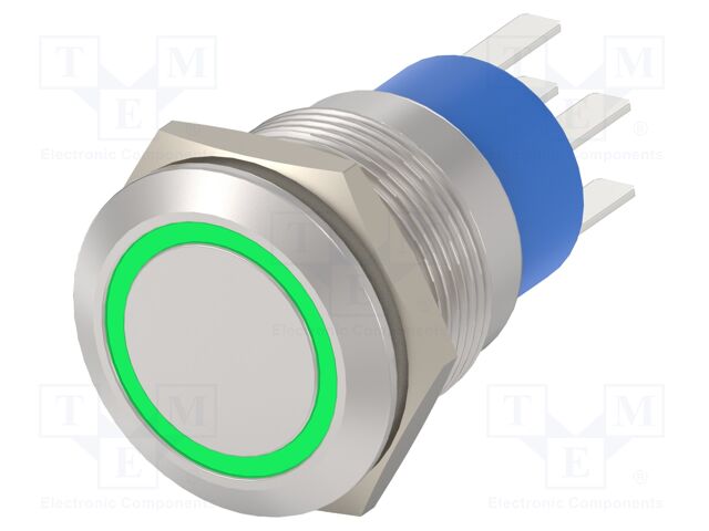 Switch: vandal resistant; Pos: 2; DPST; 3A/250VAC; OFF-ON; green