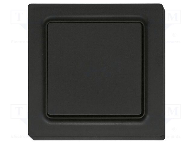 Wireless push button; EnOcean; 30m; Ch: 2; intelligent house