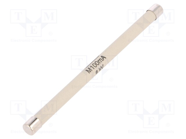 Fuse: fuse; quick blow; 100mA; ceramic