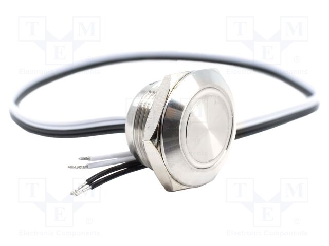 Switch: vandal resistant; SPST-NO; 0.05A/24VDC; IP65; OFF-(ON)