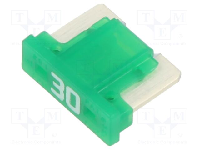 Fuse: fuse; 30A; 58VDC; medium time-lag; automotive; holders