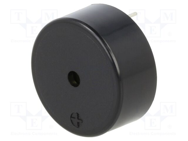 Sound transducer: electromagnetic signaller