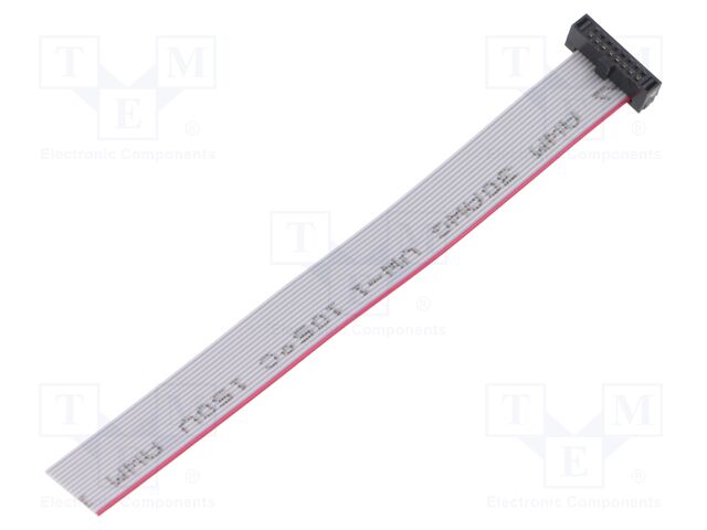 Ribbon cable with IDC connectors; Tape ph: 0.64mm; 101.6mm