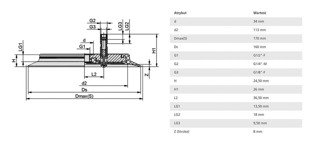 Suction cup; 160mm; G 1/2 F; Shore hardness: 55; 142cm3; SPU