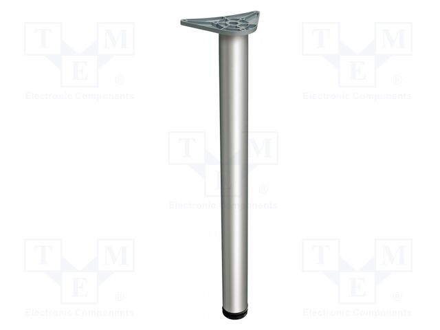 Foot