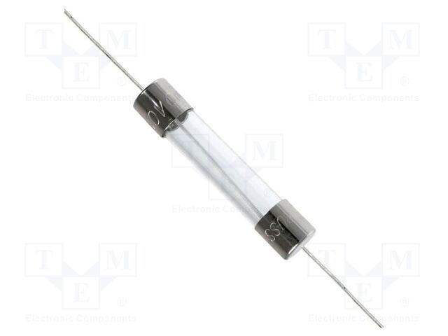 Fuse: fuse; time-lag; 300mA; 250VAC; cylindrical,glass; 6.3x32mm