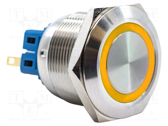 Switch: vandal resistant; SPST-NO + SPST-NC; 2A/48VDC; IP65; 12V