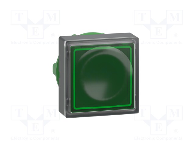 Switch: push-button; Stabl.pos: 1; 22mm; green; IP66; Pos: 2; Ø22mm