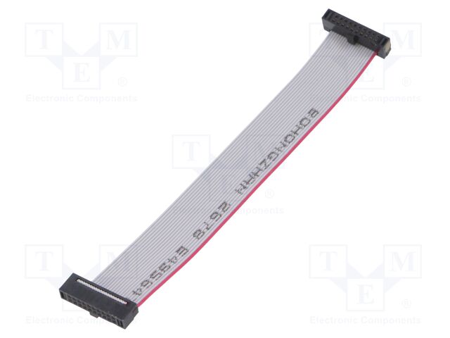 Ribbon cable with IDC connectors; Tape ph: 0.64mm; 101.6mm