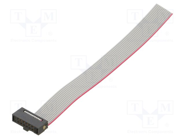 Ribbon cable with IDC connectors; Tape ph: 0.64mm; 76.2mm