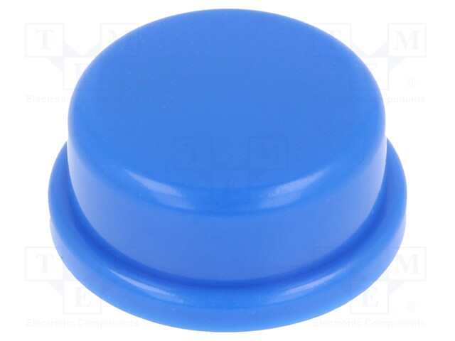 Cap; none; Man.series: TS 2x; Body: blue