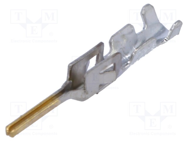 PIN CONT 20-24 30 GOLD L/P